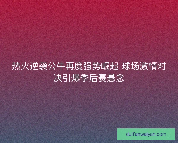 热火逆袭公牛再度强势崛起 球场激情对决引爆季后赛悬念