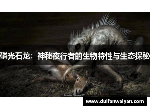 磷光石龙：神秘夜行者的生物特性与生态探秘