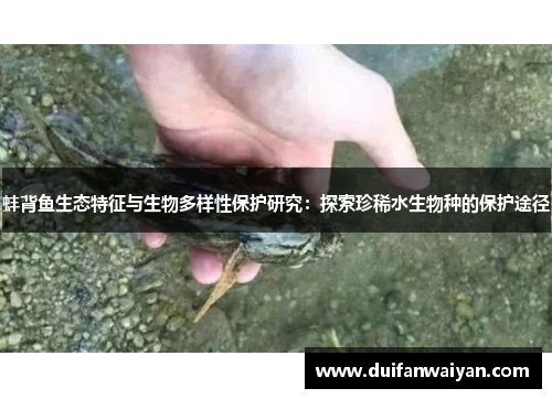 蚌背鱼生态特征与生物多样性保护研究：探索珍稀水生物种的保护途径