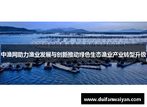中渔网助力渔业发展与创新推动绿色生态渔业产业转型升级