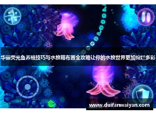 华丽荧光鱼养殖技巧与水族箱布置全攻略让你的水族世界更加绚烂多彩