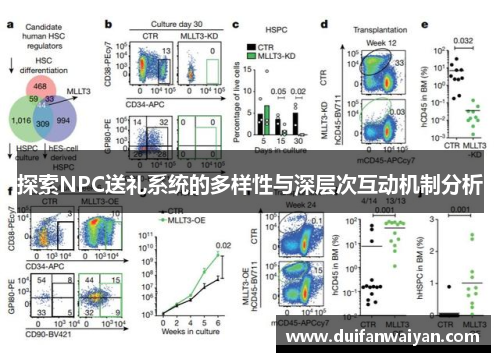 探索NPC送礼系统的多样性与深层次互动机制分析