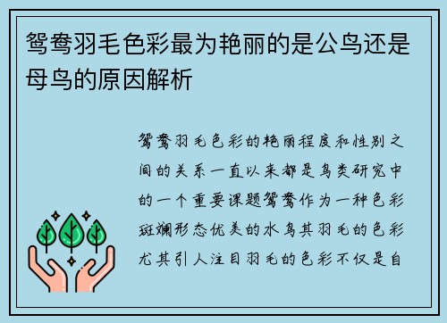 鸳鸯羽毛色彩最为艳丽的是公鸟还是母鸟的原因解析